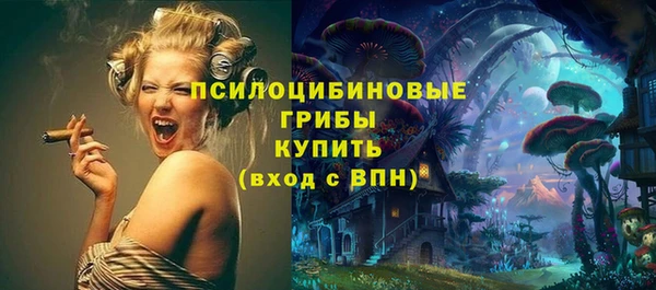 PSILOCYBIN Заволжск