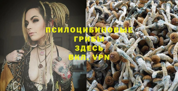 кристаллы Заводоуковск
