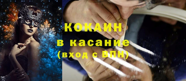 кокс Инсар