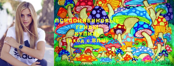 Альфа ПВП Инта