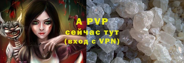 кокс Инсар
